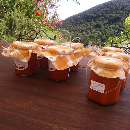 Oda ve Kahvaltı Poggio Del Sole Bassano del Grappa