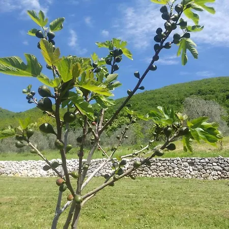 Poggio Del Sole Couette-café Bassano del Grappa