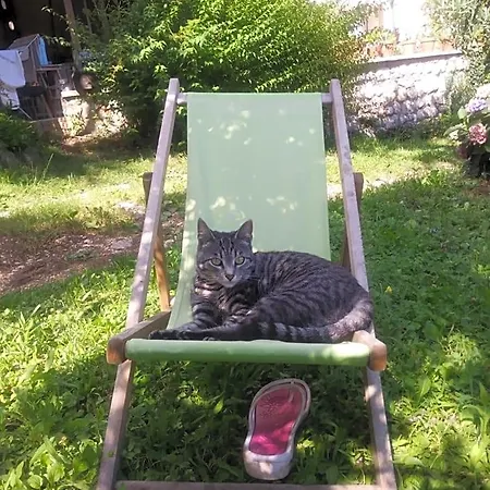 Frühstückspension Poggio Del Sole 3*
