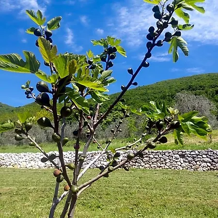 Poggio Del Sole Frühstückspension Bassano del Grappa